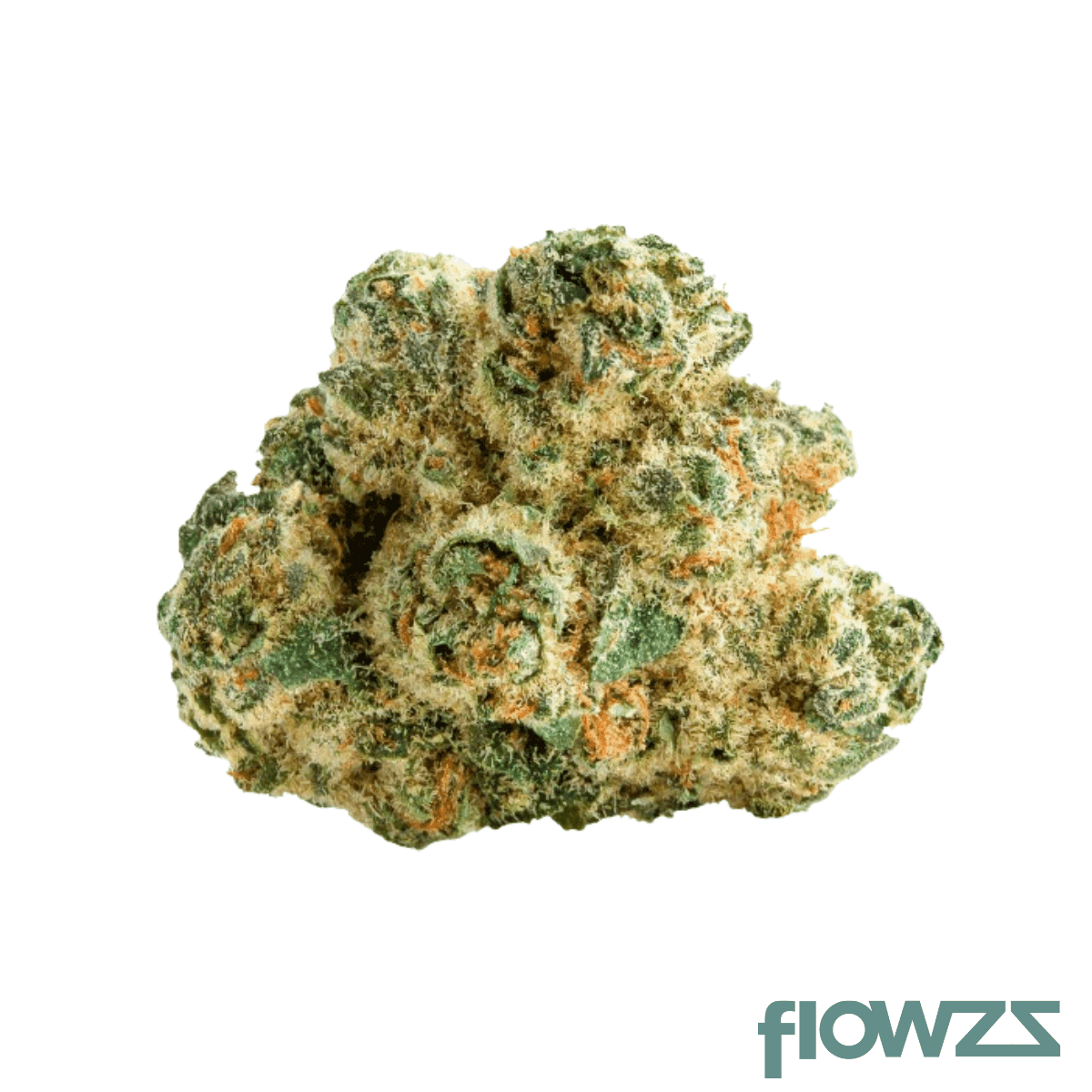 lit-31-1-mku-master-kush