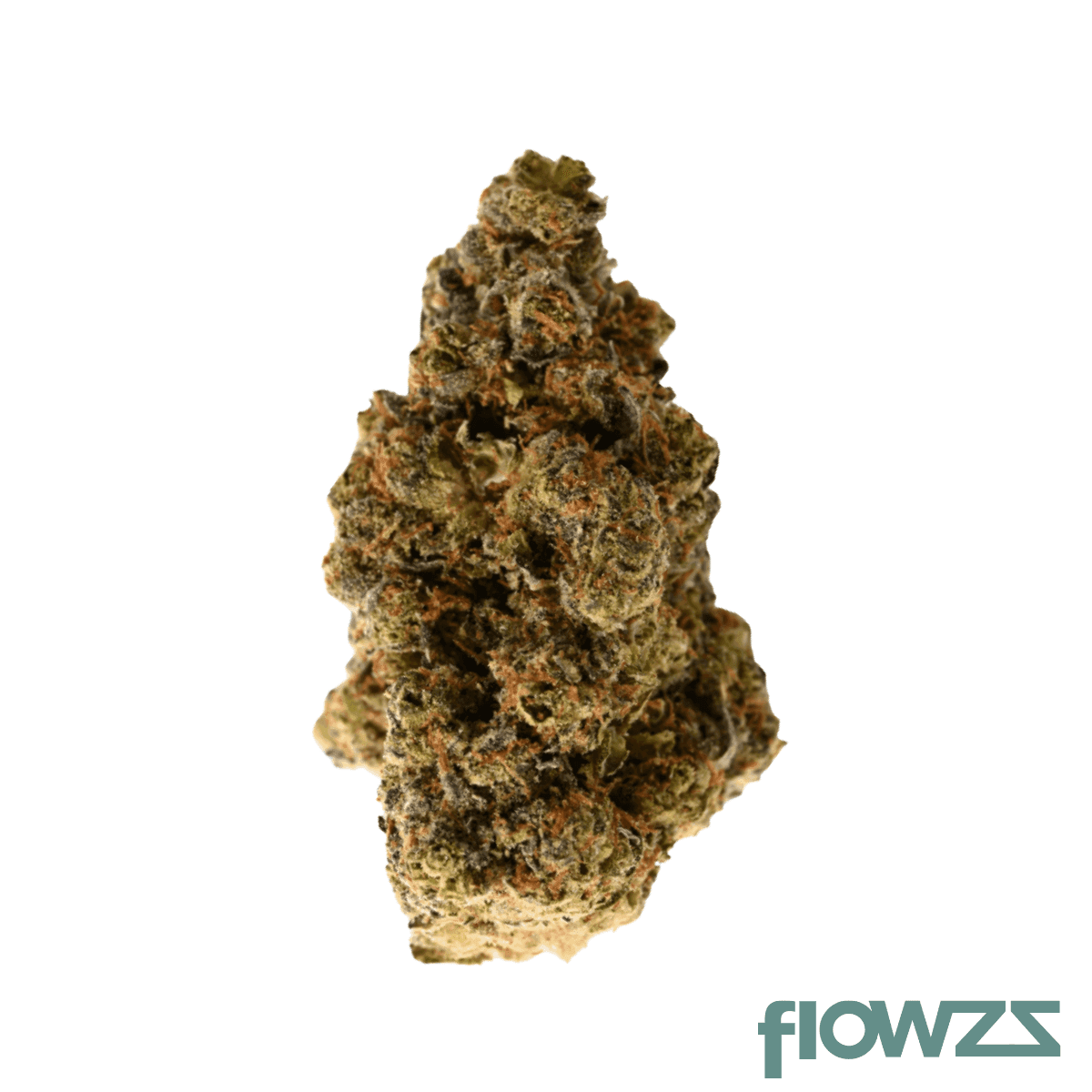 nice-31-1-gsc-girl-scout-cookies