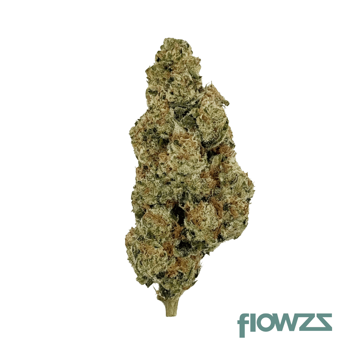 nice-26-1-led-legendary-larry