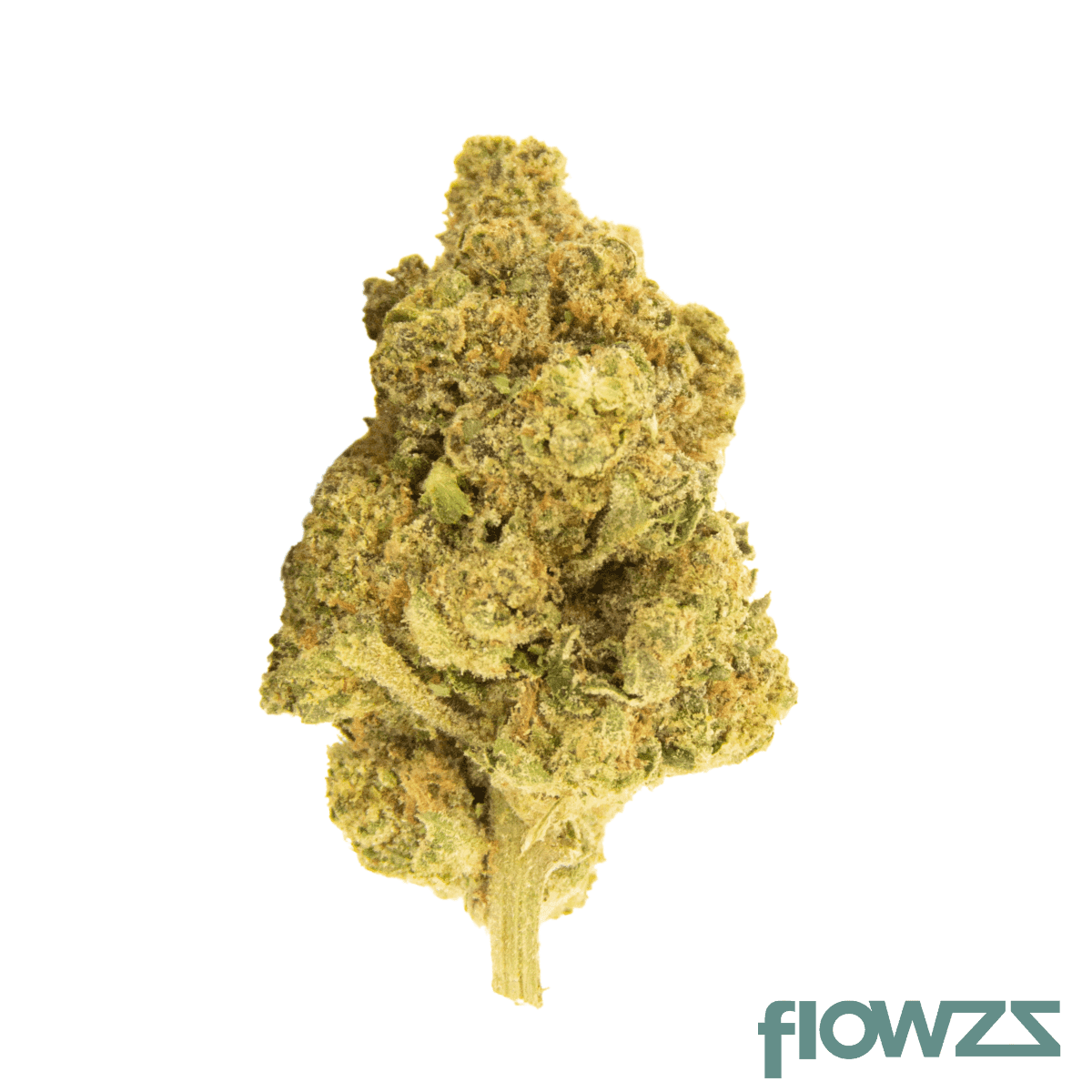 nice-24-1-hbr-hash-burger