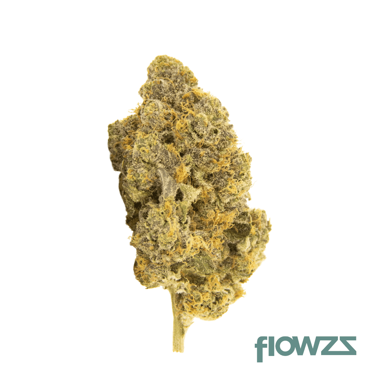 22-1-amici-cf-carbon-fiber