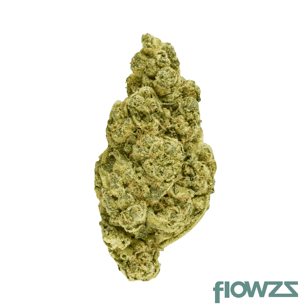 nice-27-1-tmi-triangle-mints