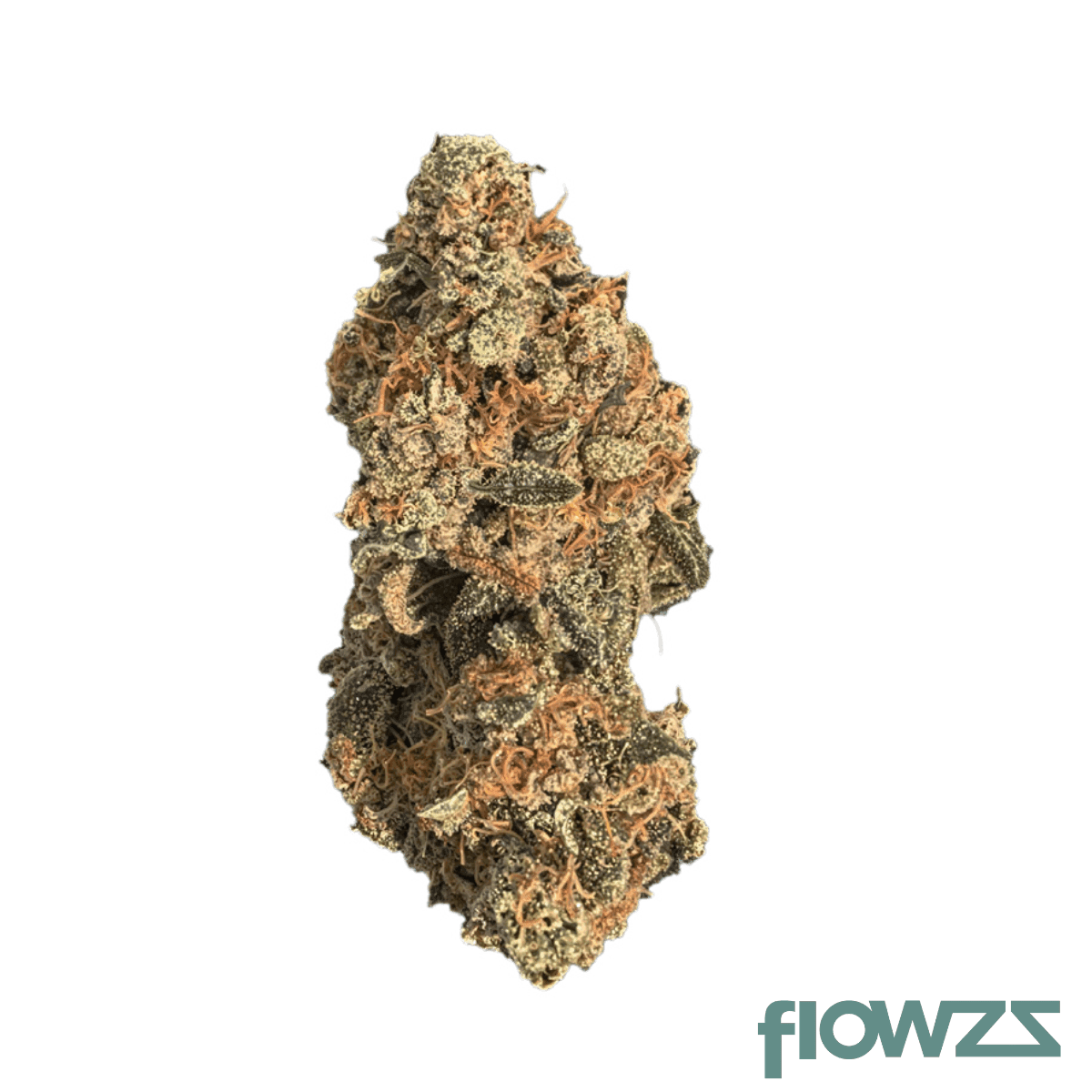 coyote-valley-24-1-ignite-sour-gorilla