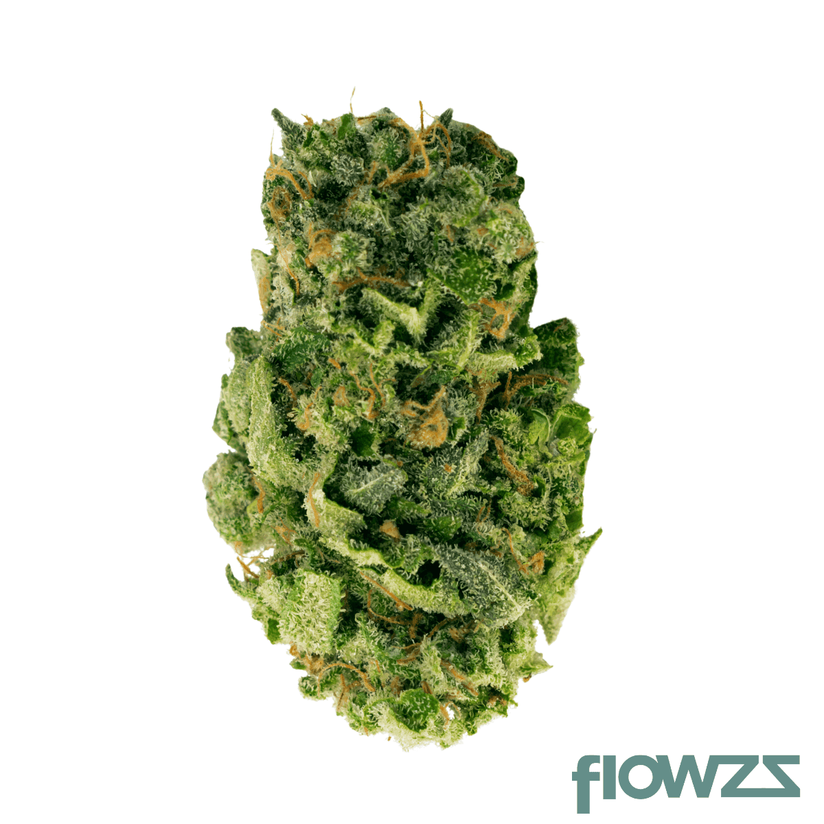 stabil-jtk-col-22-1-jack-attack