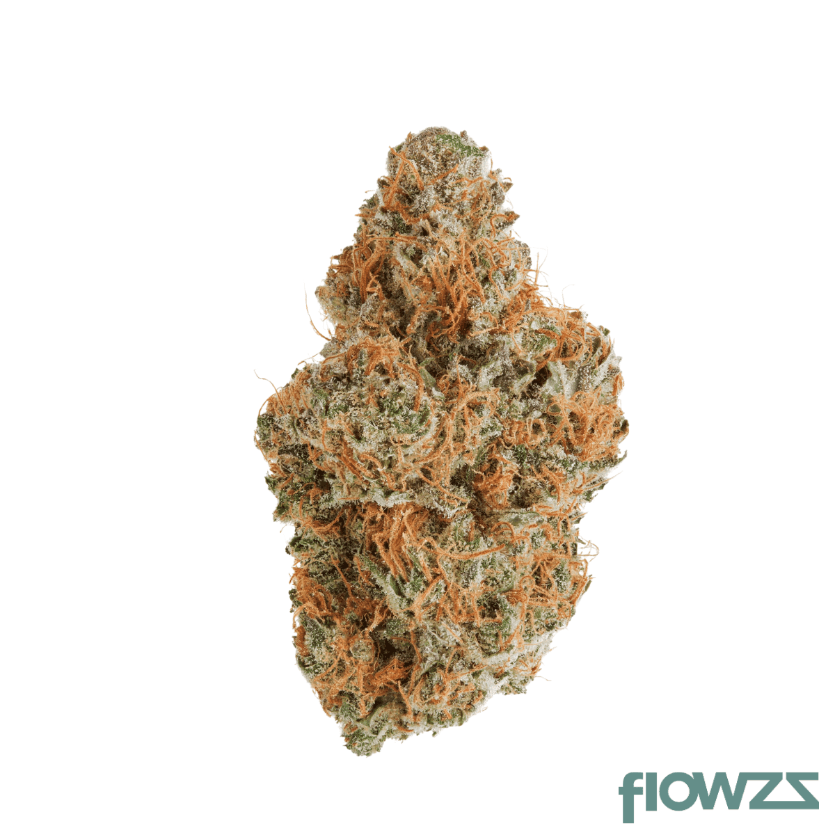 hisociety-30-1-deep-breath