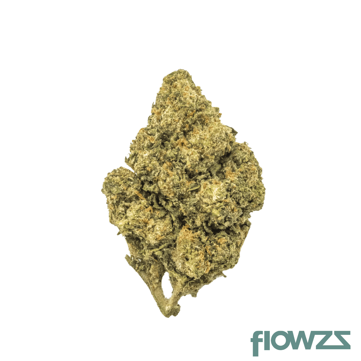 nice-18-1-sec-secret-cookies