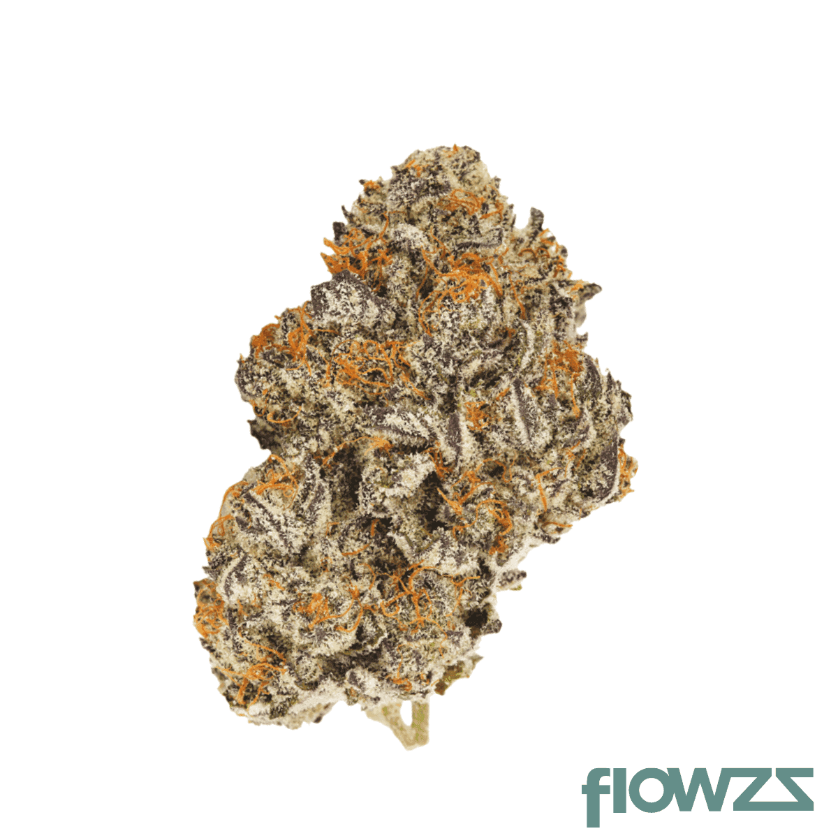 demecan-core-crc-30-01-cream-cake