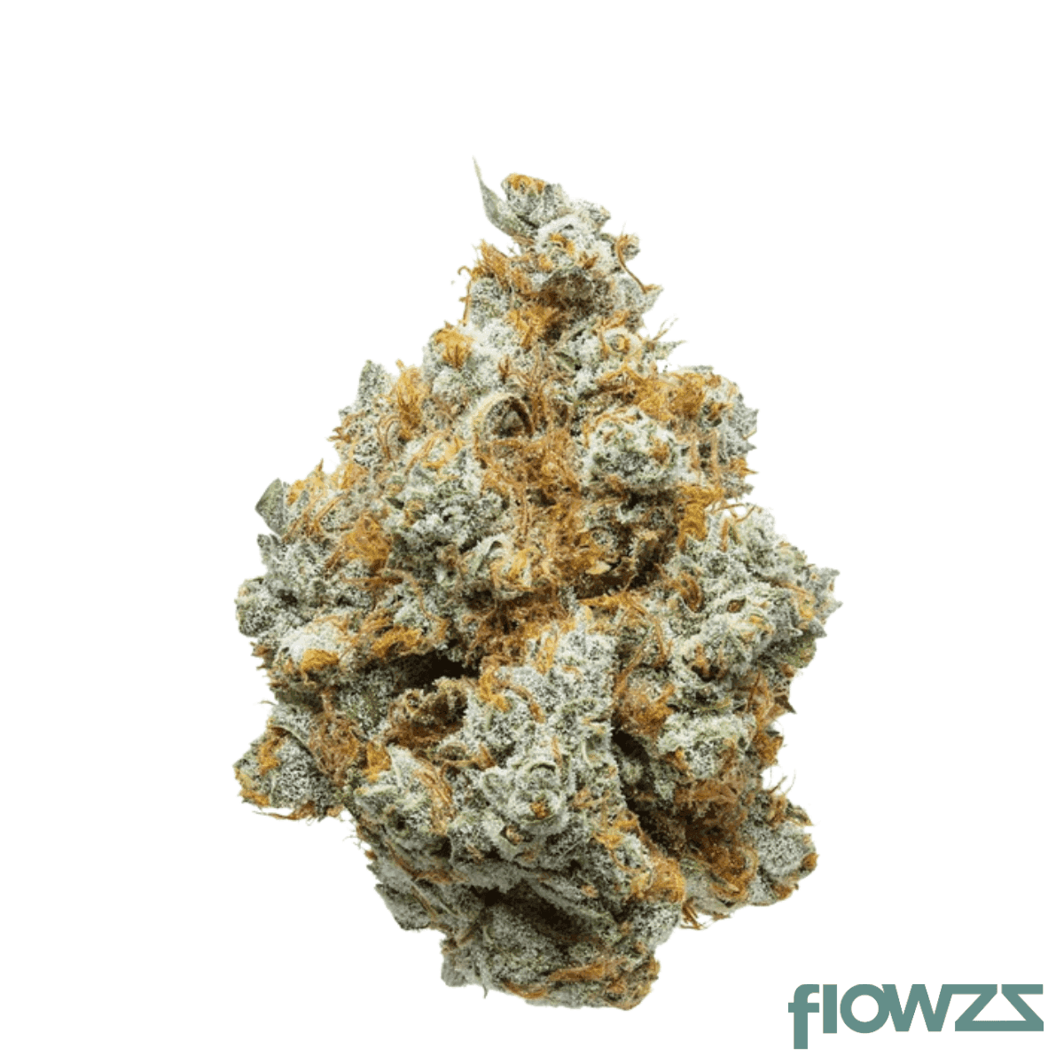 barongo-30-1-ecc-cheddar-cheese-smalls