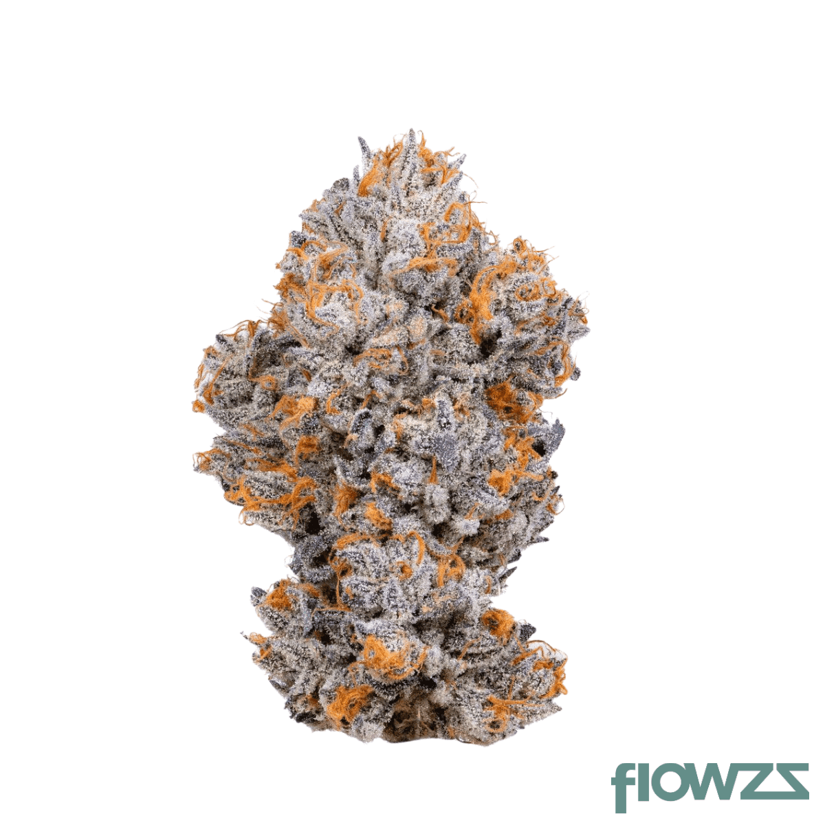 imc-gp5-thc28-icy-biscotti-pop