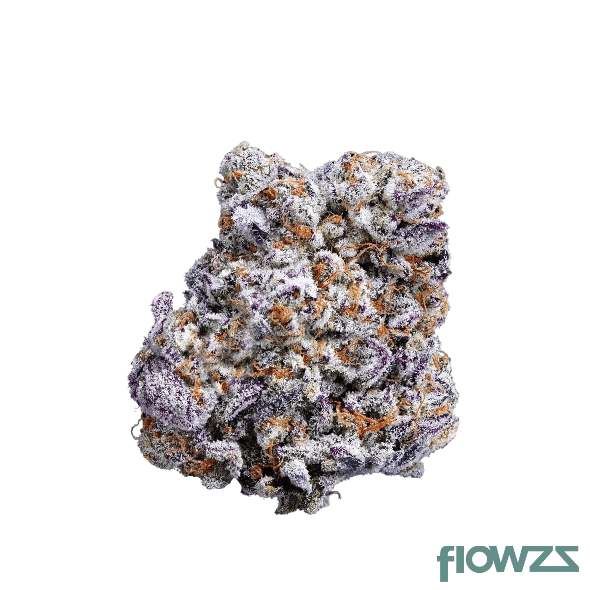 luana-20-1-og-watermelon