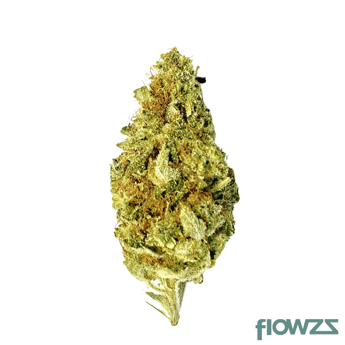 remexian-24-1-prt-gfv-gorilla-girl-fast-version