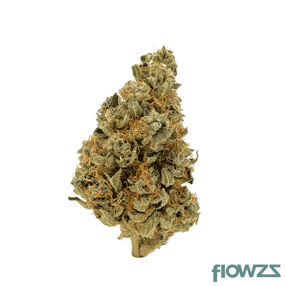 remexian-24-1-prt-vlc-vanilla-cake