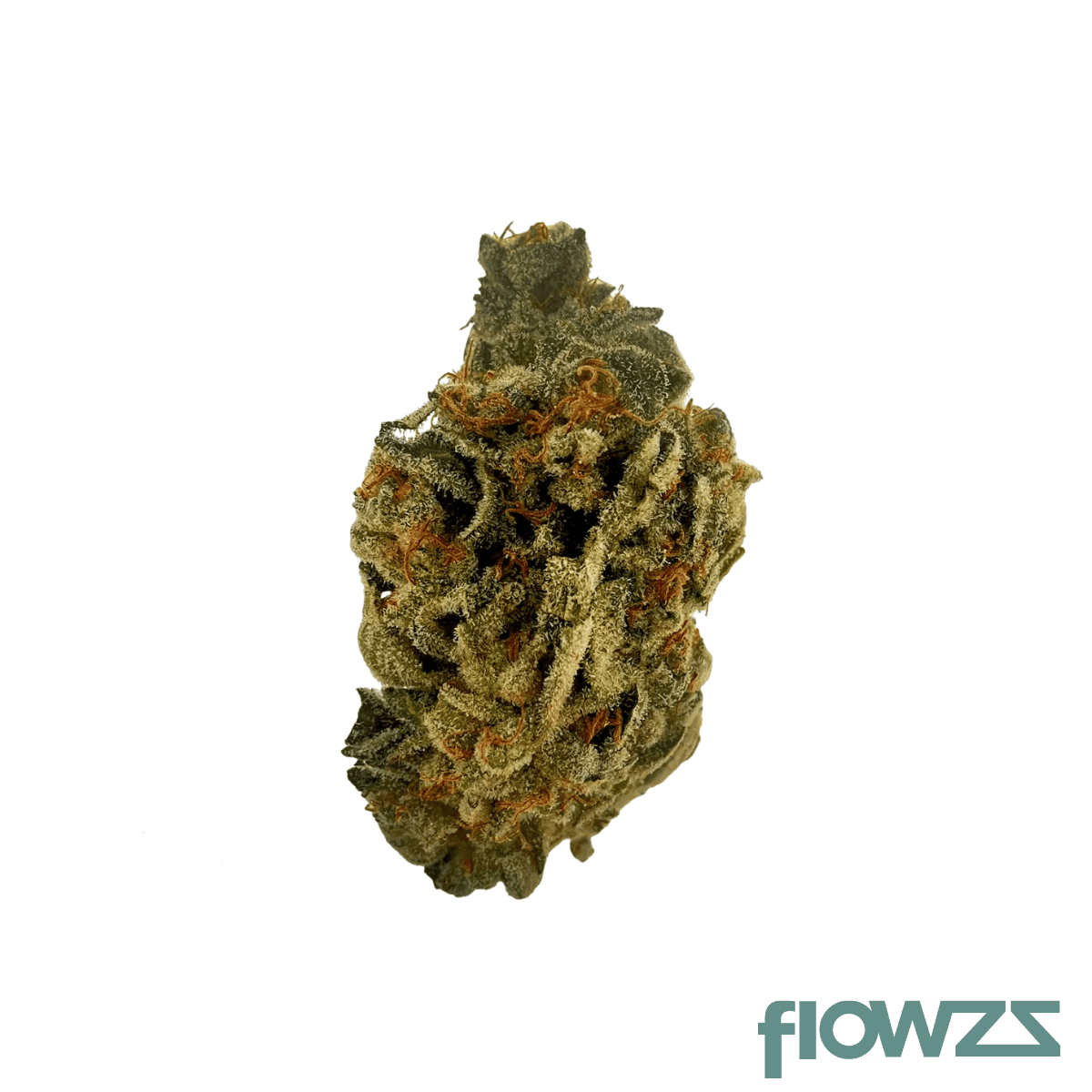 sibanax-gmo-zkittlez-24-1