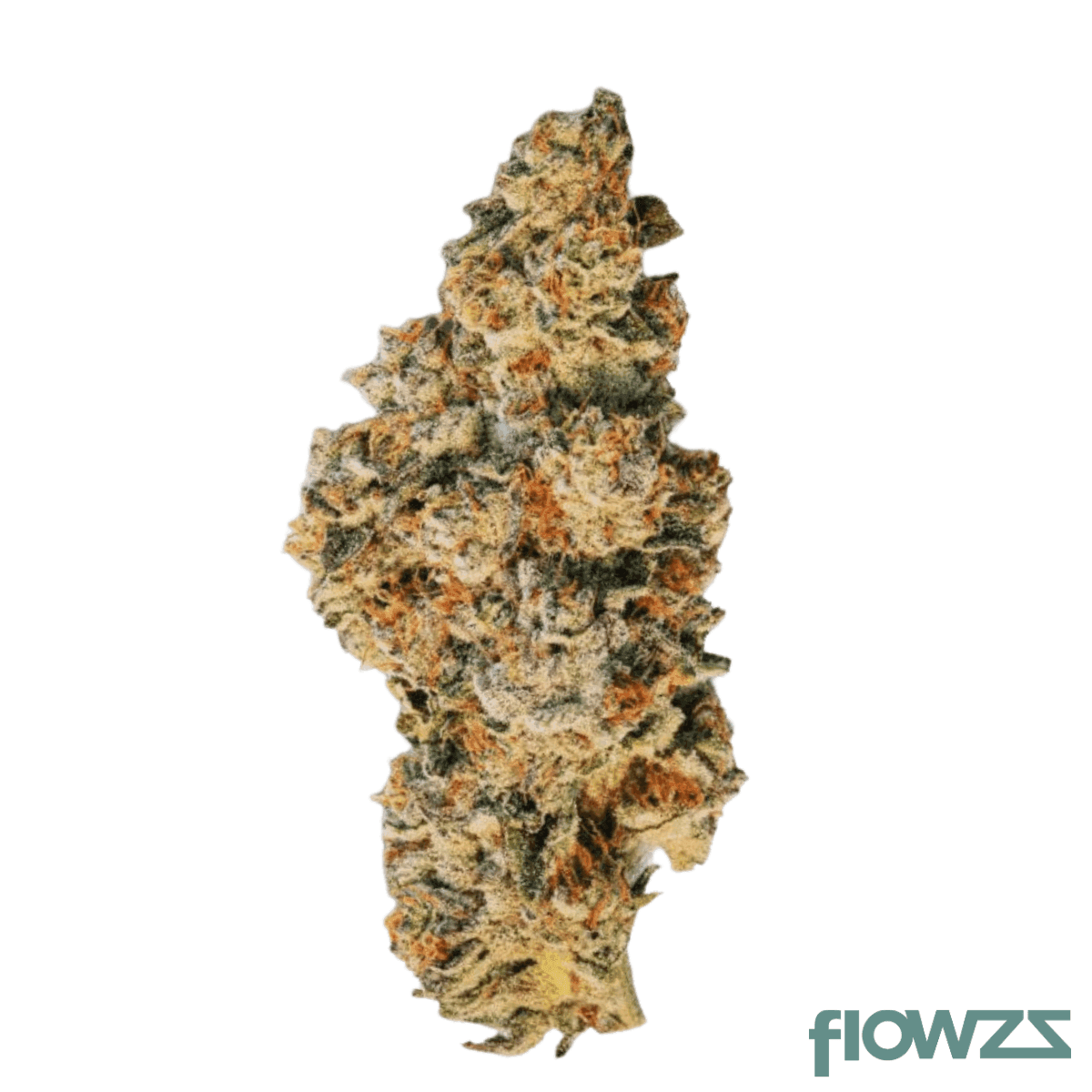 28-1-amici-crl-crystal-locomotive