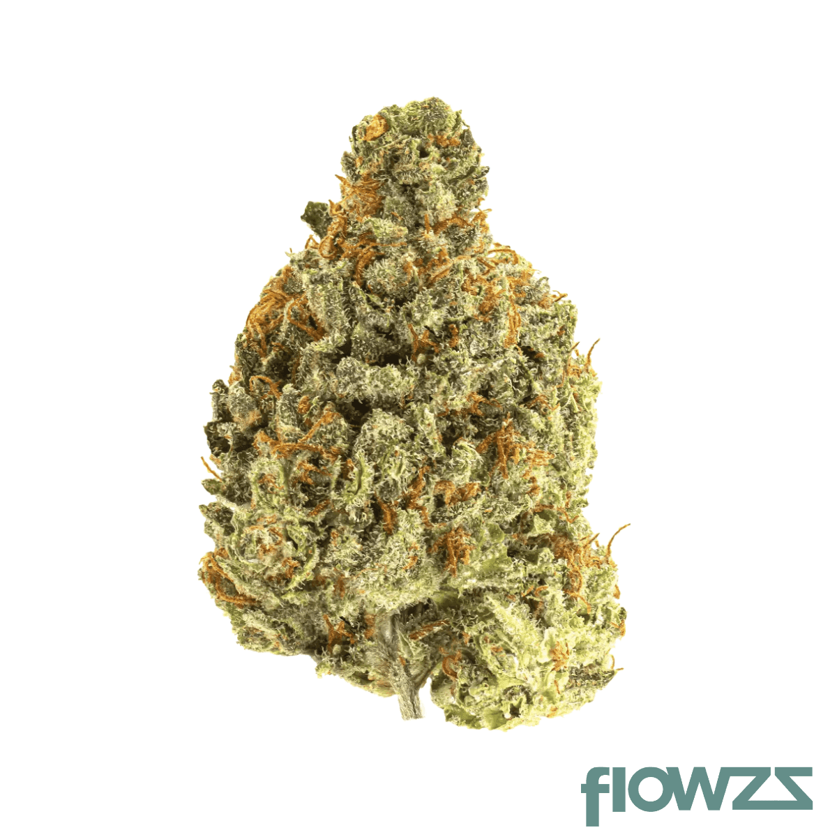 cannamedical-sativa-forte-crescendo-cookies