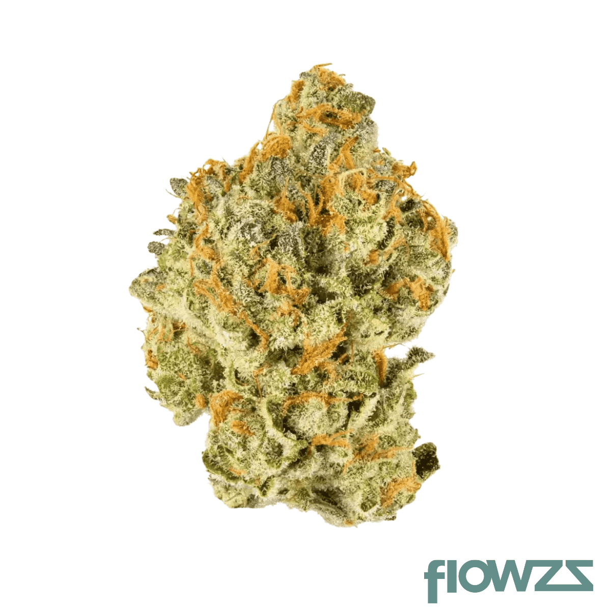 sibanax-mcf-28-1-miracle-alien-cookies