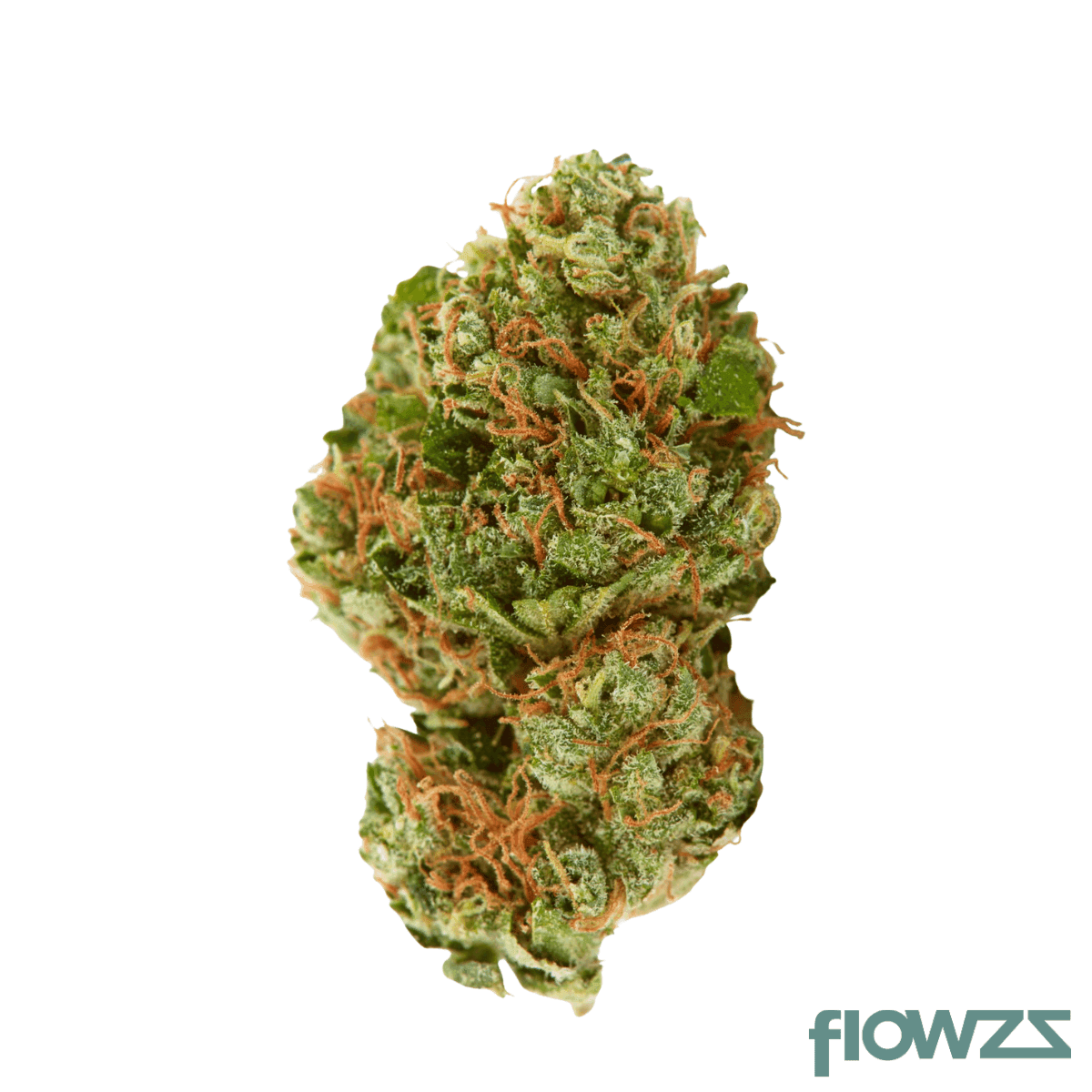 remexian-24-1-cal-vvt-valvetron