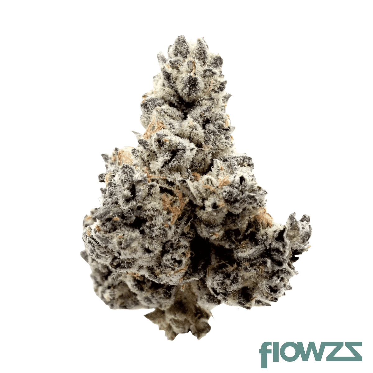 thc-akut-ohs-22-dantez-inferno