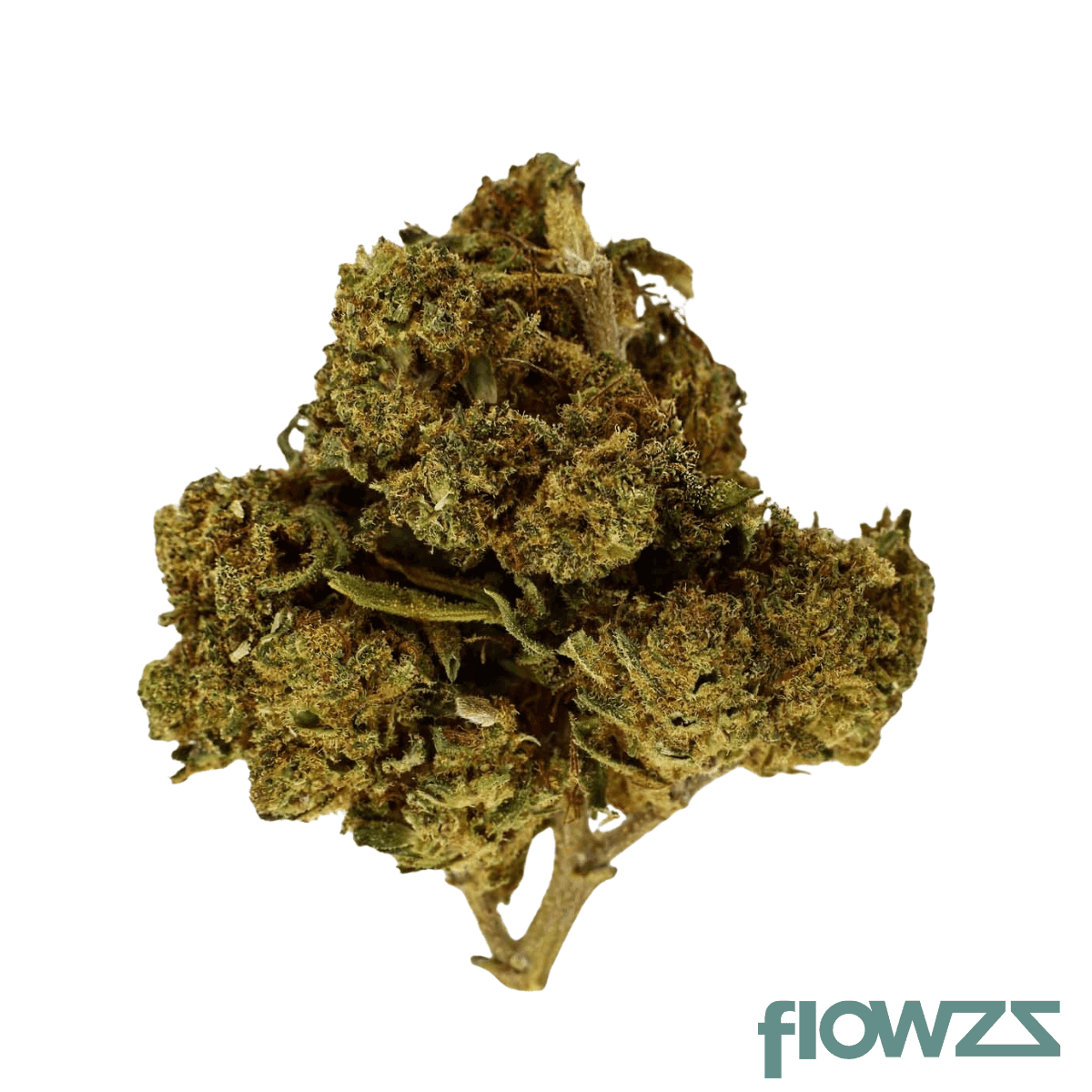 noc-as-22-arg-amnesia-kush-x-sherbet-shocker