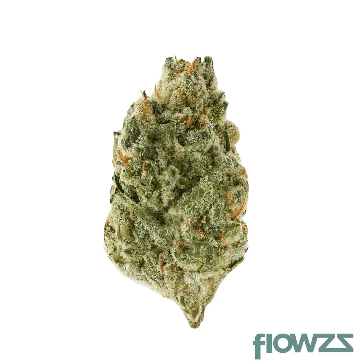 slouu-eg-ca-29-1-pineapple-god