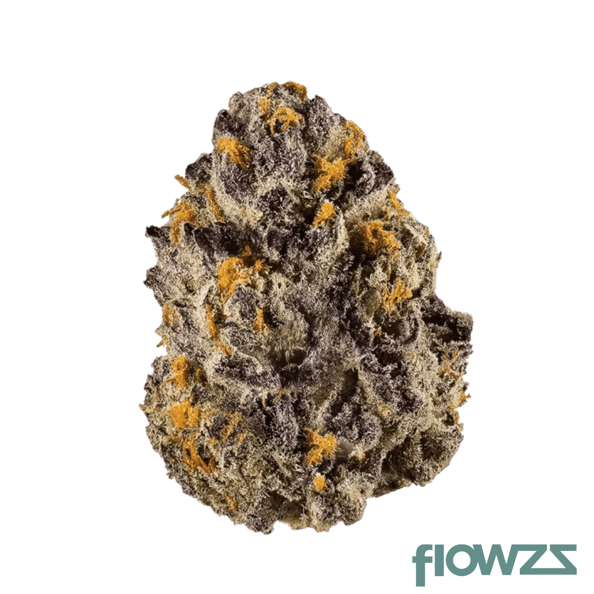 coyote-valley-24-1-klp-kali-lime-pie