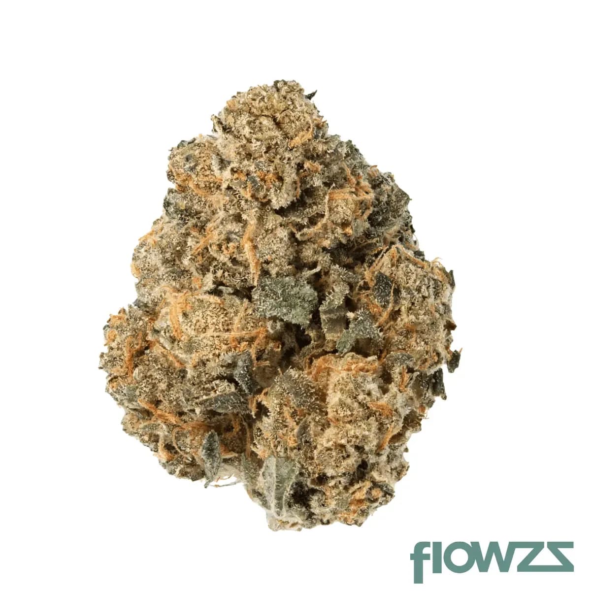 medical-saints-24-1-acb-acai-berry