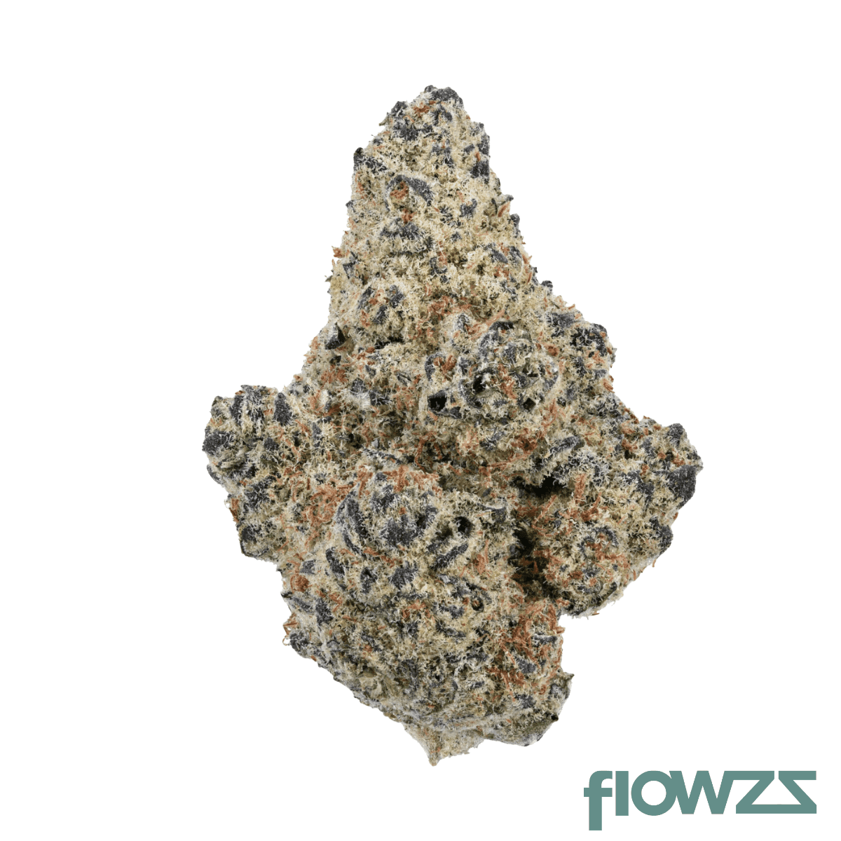 medical-saints-15-1-btu-black-tuna