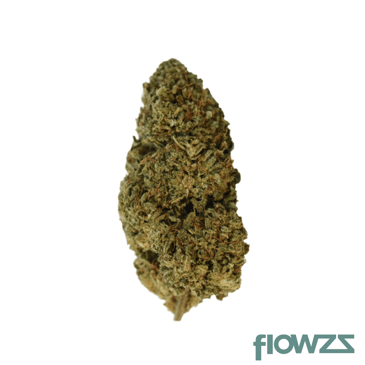 nedcann-cb-19-01-honolulu-haze