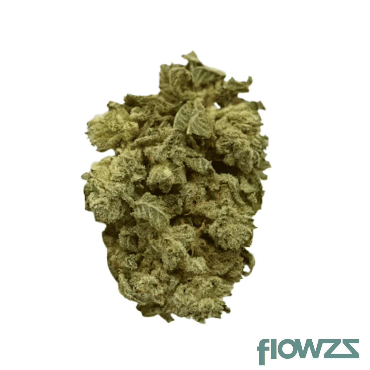 nedcann-md-27-01-cloud-walker