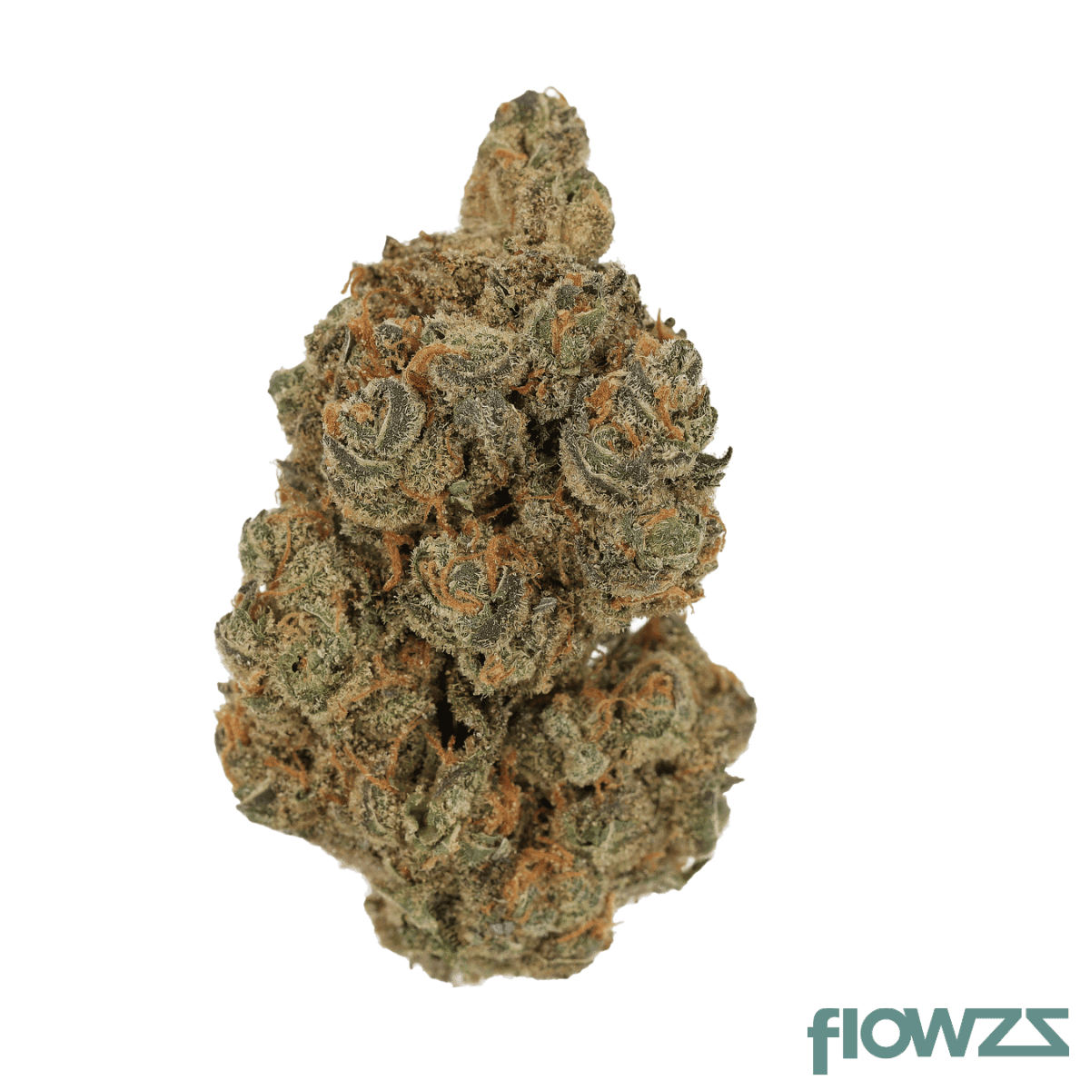 cannamedical-hybridforte-24-1-garlic-truffle