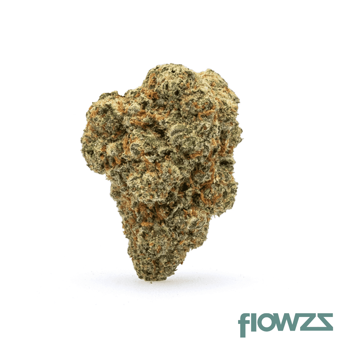 materia-gp-24-1-georgia-pie