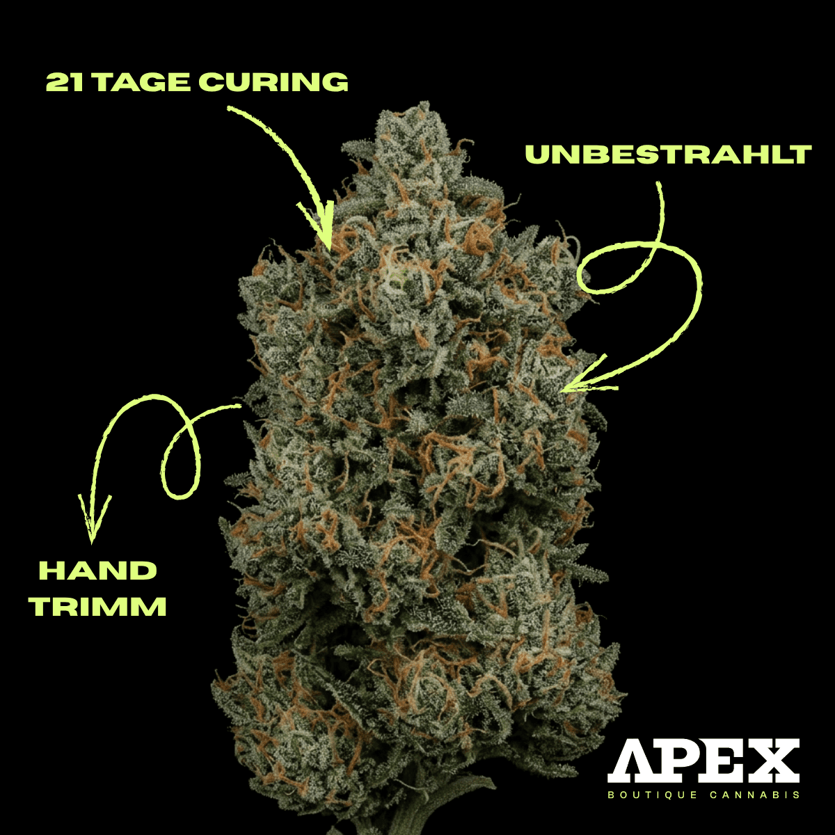  Apex GEP PT 29/1 Gelato Poison