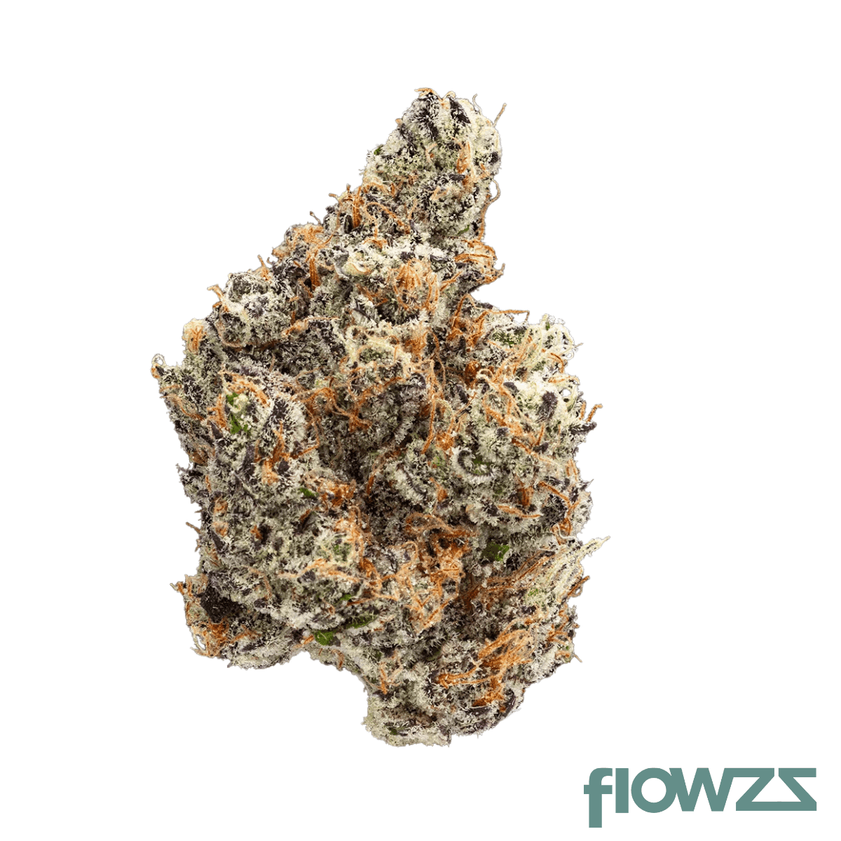 craft-emerald-27-01-governmint-oasis