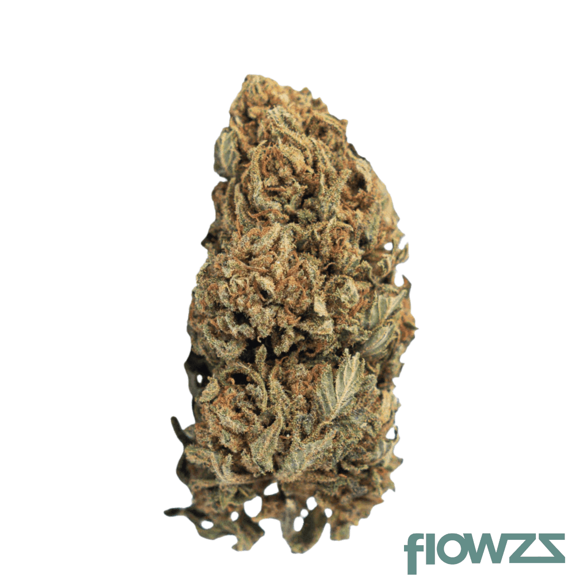 huala-27-1-ca-wot-whiteout