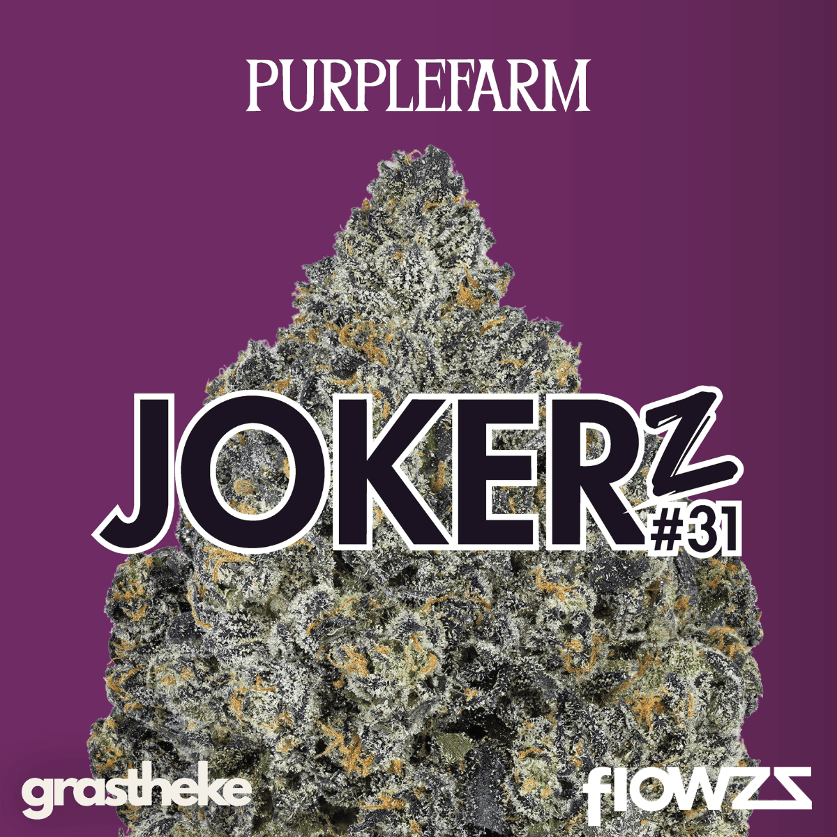 PURPLEFARM 26/1 J31 Jokerz #31