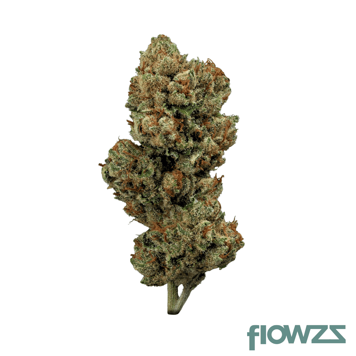 materia-lz-25-1-lemon-zorilla