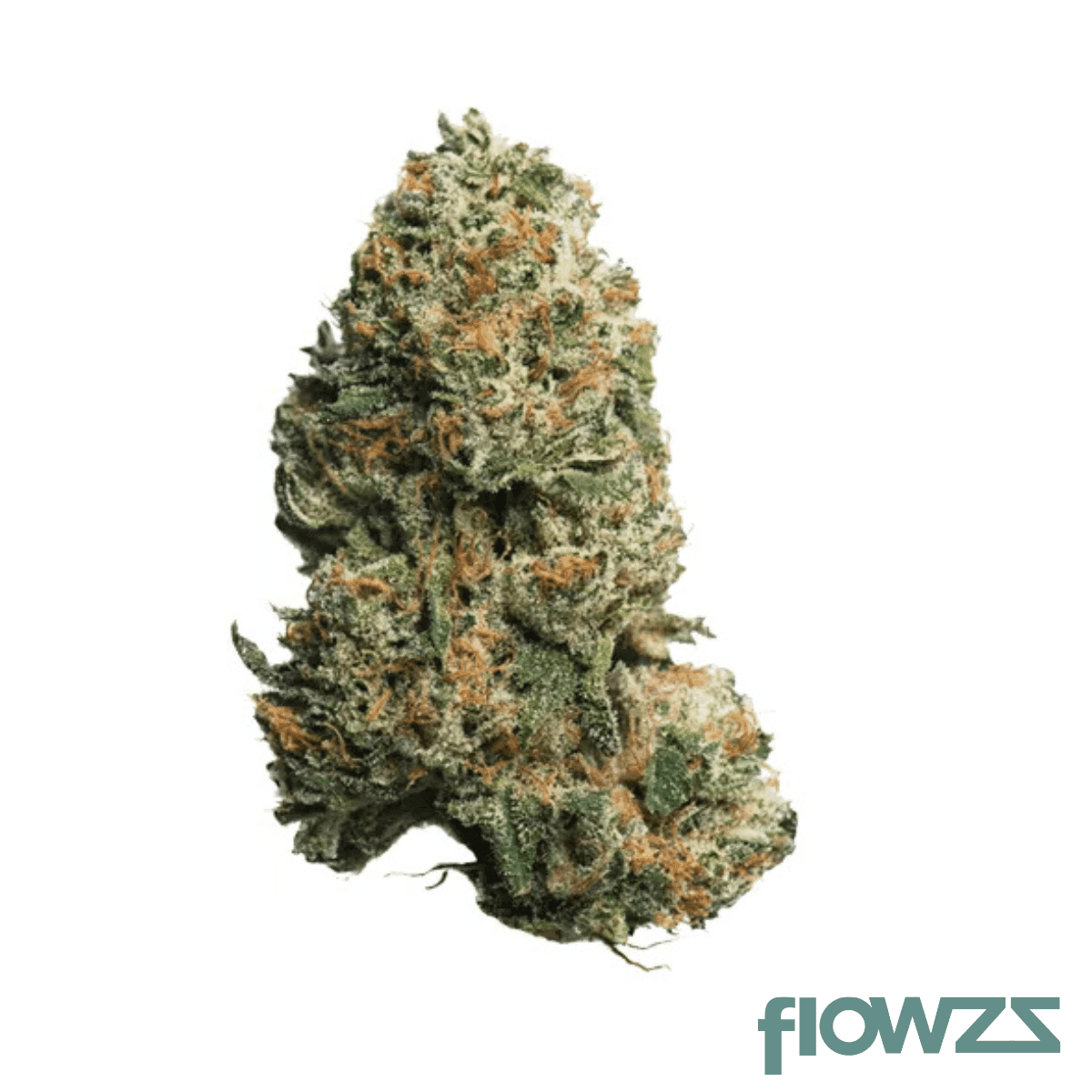 remexian-24-1-ssf-moonjo