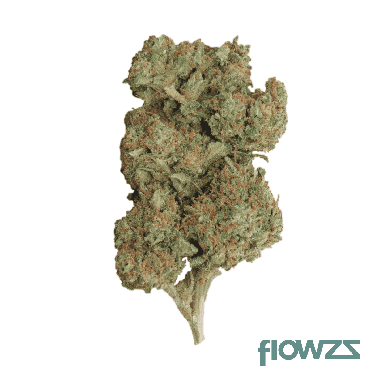 nedcann-mid-24-01-milky-dreams-10