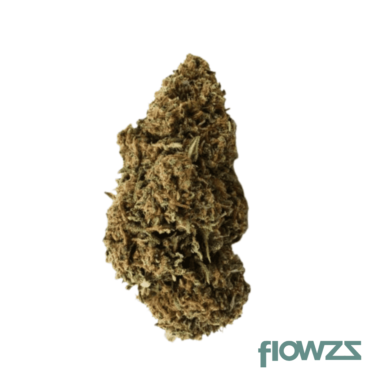 nedcann-che-20-01-green-house-cheese-21