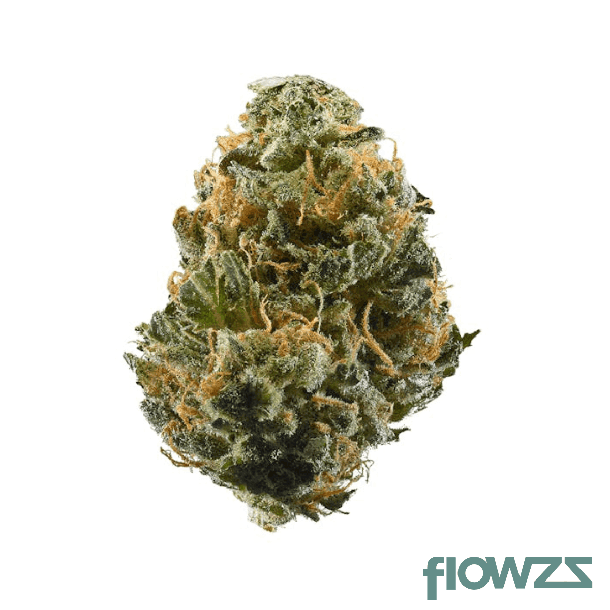 remexian-30-1-bbr-ntc-nitro-chem