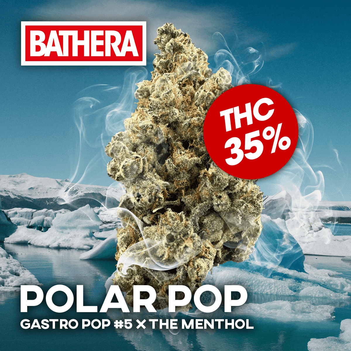 Bathera 35/1 PP Polar Pop