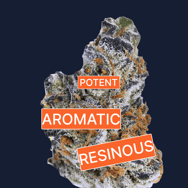 Remexian 30/1 CRN GRB Garlic Breath