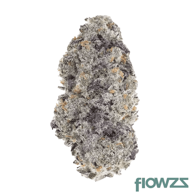 demecan-cv-regular-drop-24-1-banana-daddy