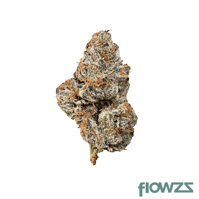 luana-28-1-fcg-frozen-cherry-gas