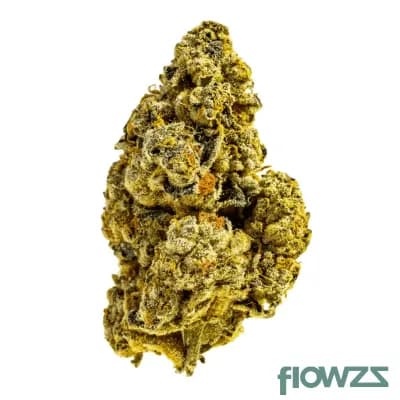 aphria-rx-thc28-cactus-breath