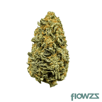 bud-jet-18-1-sus-sunset-sherbet