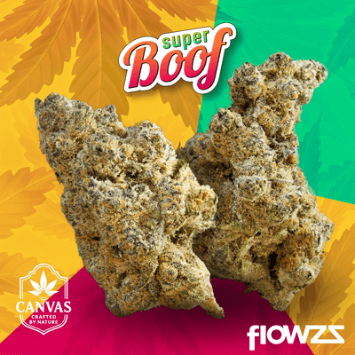 canvas-sbf-thc-27-super-boof