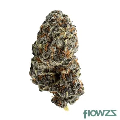 nice-28-1-gp-georgia-pie