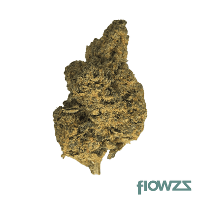 30-1-amici-slh-super-lemon-haze