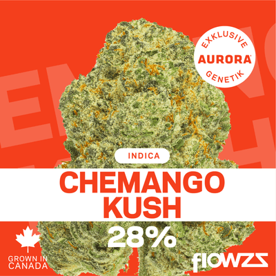 Pedanios 28/1 CMK-CA Chemango Kush